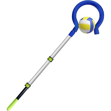 Amazon.co.jp 売れ筋ランキング: バレーボール用ボール の中で最も人気